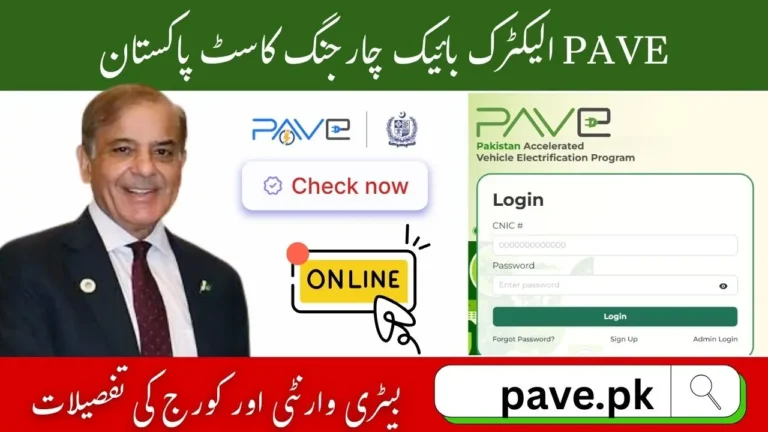 PAVE Electric Bike Battery Replacement Pakistan – Price, Warranty & Maintenance Tips 6 PAVE Electric Bike Battery Replacement Pakistan