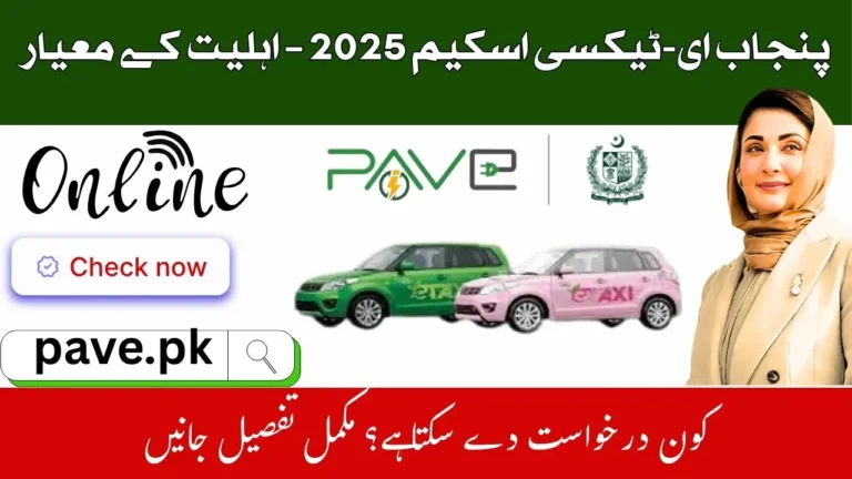 Punjab E-Taxi Eligibility Criteria 2025