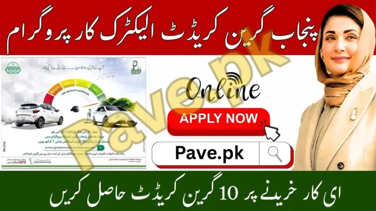 Punjab Green Credit Electric Car Program 2025