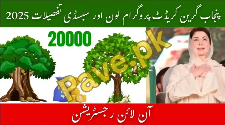 Punjab Green Credit Program Loan & Subsidy Details
