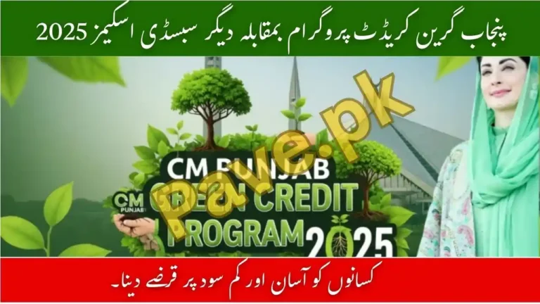 Punjab Green Credit Program vs Other Subsidy Schemes – Detailed Comparison 2025 7 Punjab Green Credit Program vs Other Subsidy Schemes