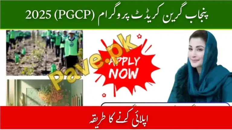 Top FAQs About Punjab Green Credit Program PGCP 2025 6 Top FAQs About Punjab Green Credit Program PGCP 2025