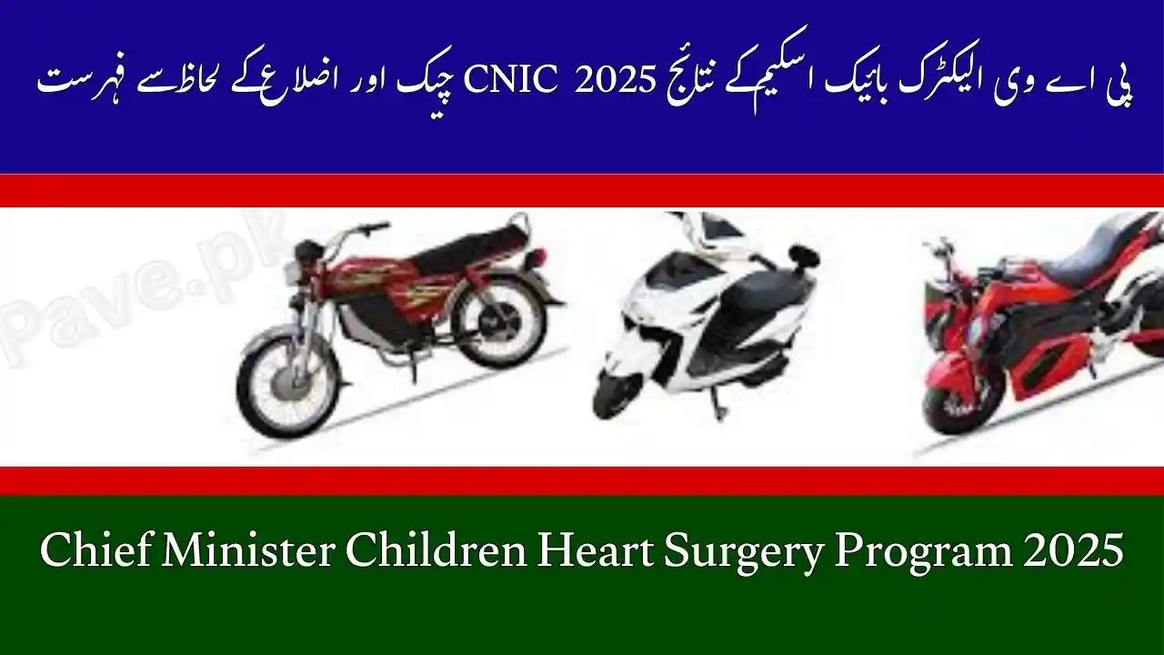 PAVE Electric Bike Scheme Result 2025 CNIC Check & District Wise List 1 PAVE Electric Bike Scheme Result 2025